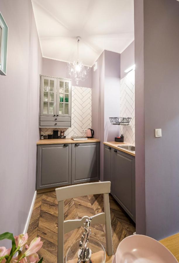 Apartament Z Ogrodkiem I Garazem Poznań Kültér fotó